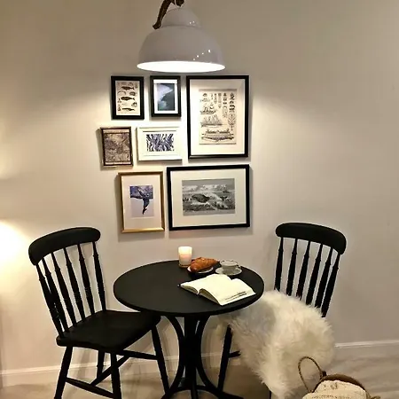 公寓 Apartament Przy Lwach 格但斯克