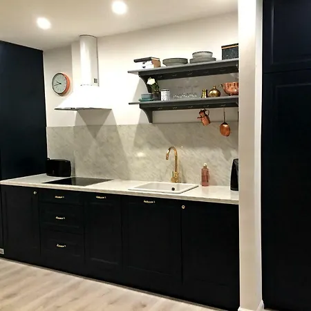公寓 Apartament Przy Lwach *